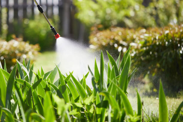 Tamper-Resistant Bait Stations for Rodents in South Coatesville