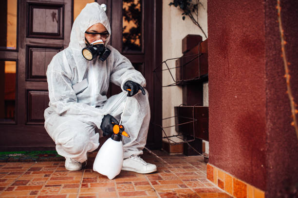 Attic and Crawl Space Rodent Treatment in South Coatesville