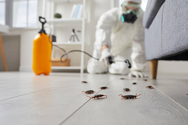 Commercial Rodent Management in South Coatesville